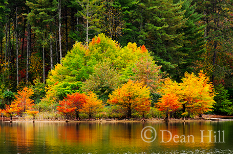 Autumn Reflection on Paintsville Lake image