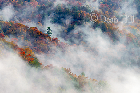 Misty Mountain image