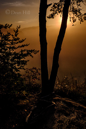 Sunrise Over Clifty Wilderness image